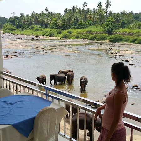 Hotel Pinnalanda - New Deal! Half Off Airport Pickups Available Pinnawala  Exterior foto